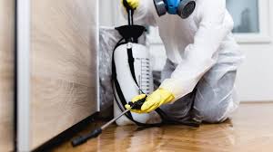 Best Emergency Pest Control  in San Juan Pistrano, CA